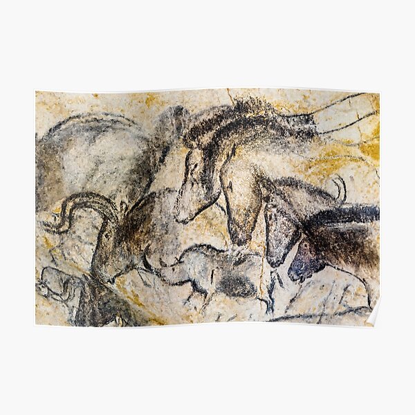 Chauvet Horses Aurochs and Rhinoceros Poster