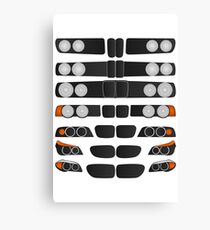 Evolution of the 5 Canvas Print