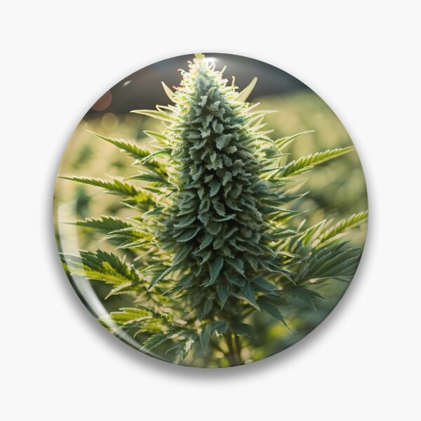 Item preview, Field of Pot Digital Octane Render / Cinema 4d designed and sold by wojysmokes.