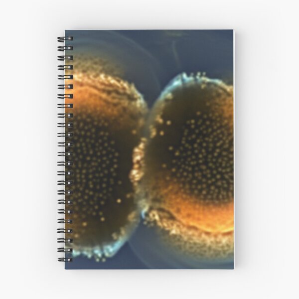 Item preview, Daphnia designed and sold by Tee Studio.