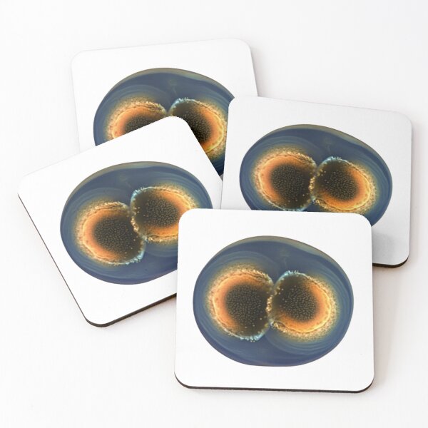 Item preview, Daphnia designed and sold by Tee Studio.
