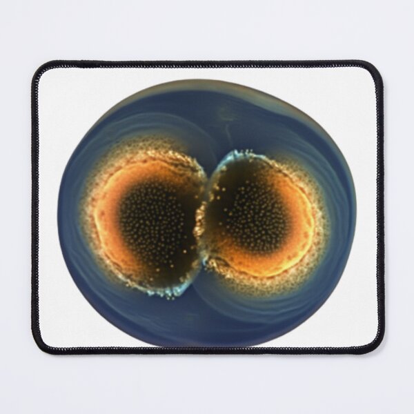 Item preview, Daphnia designed and sold by Tee Studio.