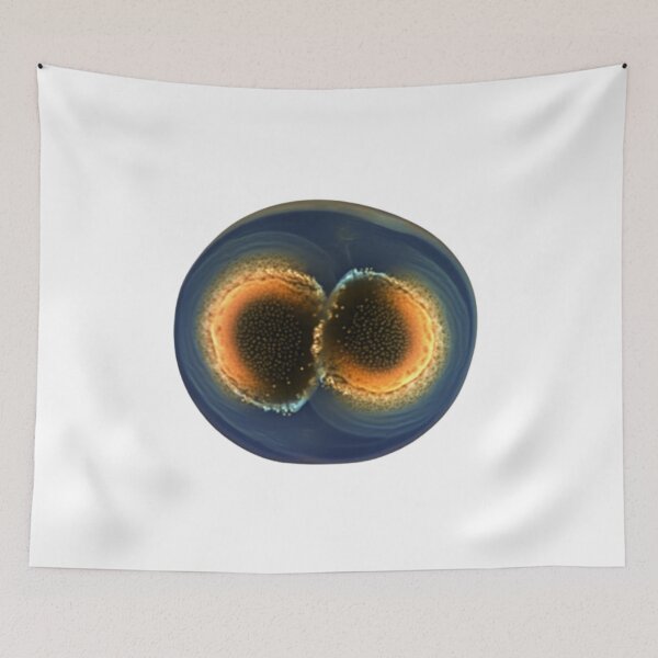 Item preview, Daphnia designed and sold by Tee Studio.