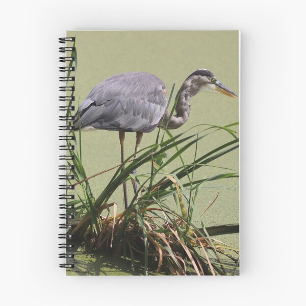 Item preview, A Great Blue Heron  designed and sold by Judy Geller.