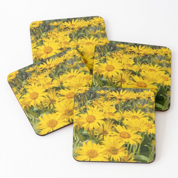 Item preview, False Sunflowers designed and sold by TinyDinoDesigns.