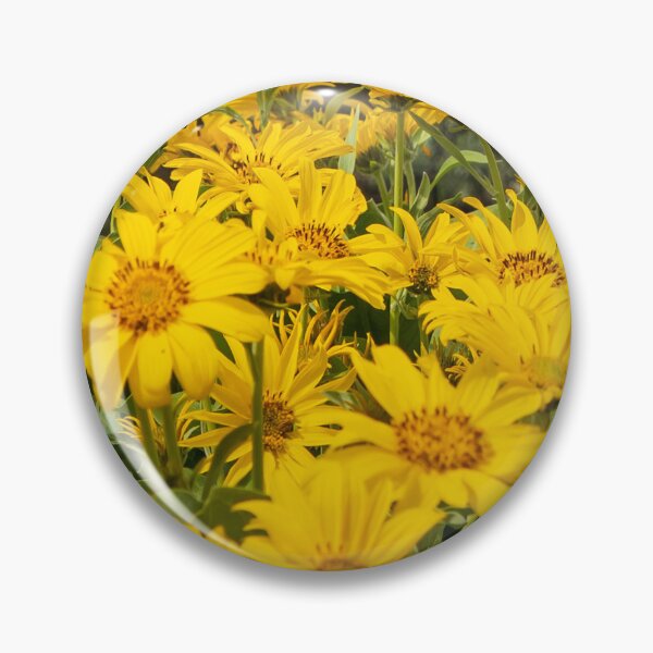 Item preview, False Sunflowers designed and sold by TinyDinoDesigns.