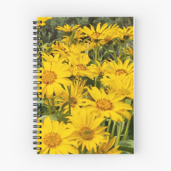 Item preview, False Sunflowers designed and sold by TinyDinoDesigns.