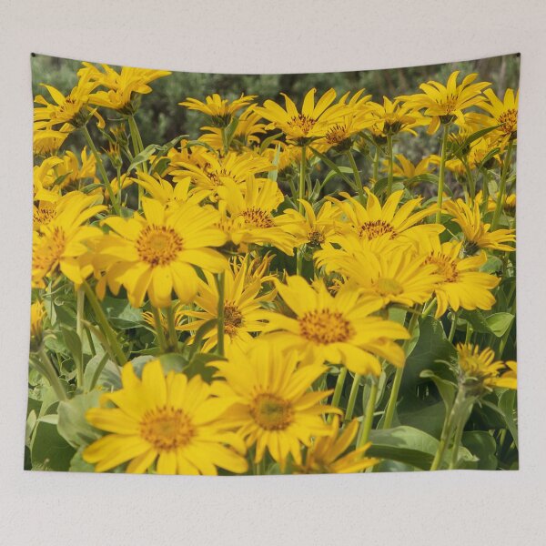 Item preview, False Sunflowers designed and sold by TinyDinoDesigns.