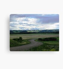 Curvacious Canvas Print