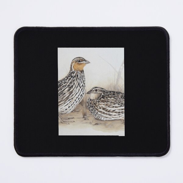 Item preview, Stubble quails Tote Bag 	 designed and sold by klpamiwf1.