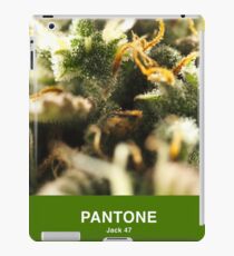 Jack 47 Pantone voller Farbe iPad-Hülle & Klebefolie