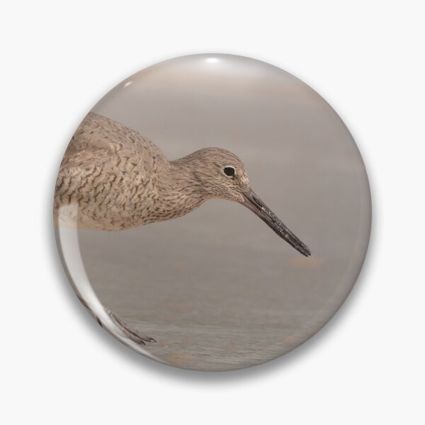 Item preview, Willet looking for food on a Florida beach designed and sold by Birdmanphotos.