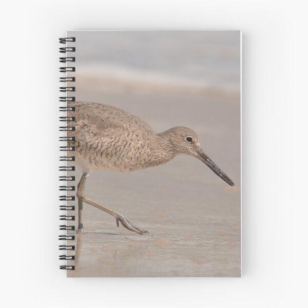 Item preview, Willet looking for food on a Florida beach designed and sold by Birdmanphotos.
