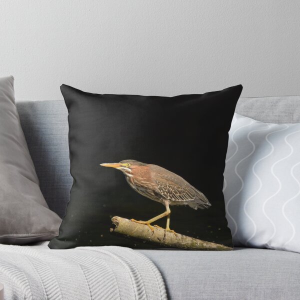 Item preview, Green Heron on a branch with a dark background designed and sold by Birdmanphotos.