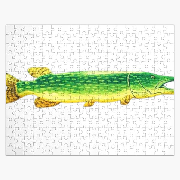 Piecing Together the Muskie Puzzle