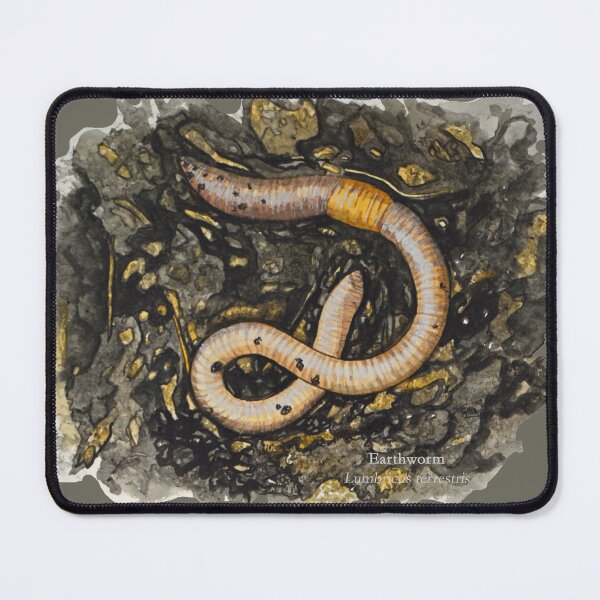 Item preview, Earthworm Painting designed and sold by Stephen Emms.