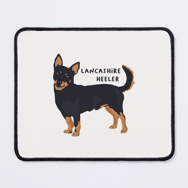Item preview, Lancashire Heeler designed and sold by Emmalouiss88.