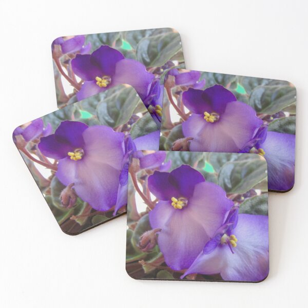Item preview, African violets designed and sold by Shulie1.