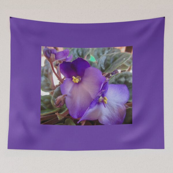 Item preview, African violets designed and sold by Shulie1.