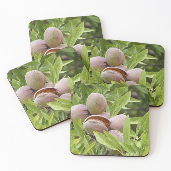 Item preview, Almonds designed and sold by Paul Pasco.
