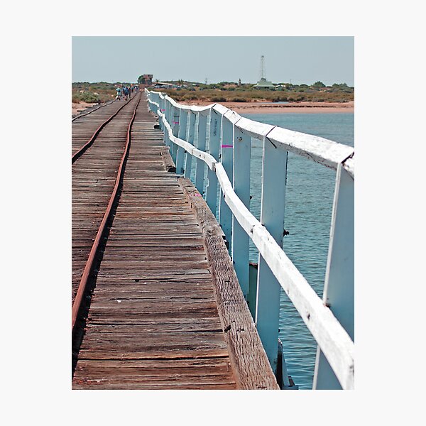 Item preview, As straight as a dog's hind leg, Carnarvon, Western Australia (Y) designed and sold by Adrian Paul.