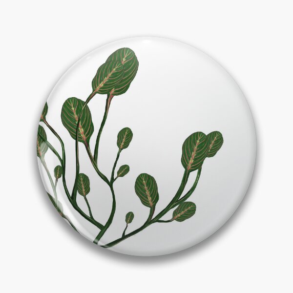 Item preview, Maranta designed and sold by Taidundua.