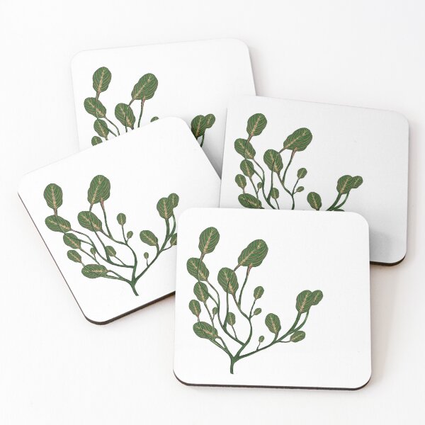 Item preview, Maranta designed and sold by Taidundua.
