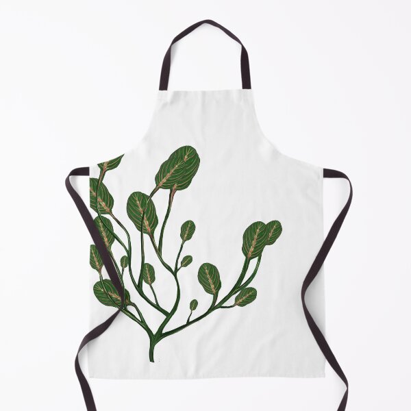 Item preview, Maranta designed and sold by Taidundua.