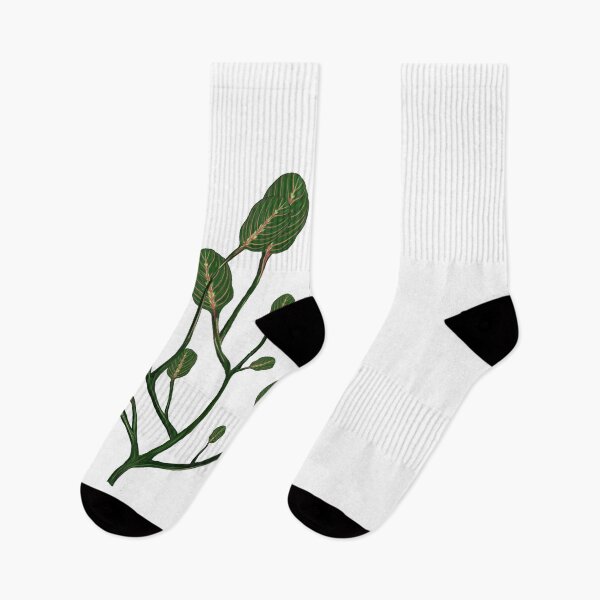 Item preview, Maranta designed and sold by Taidundua.