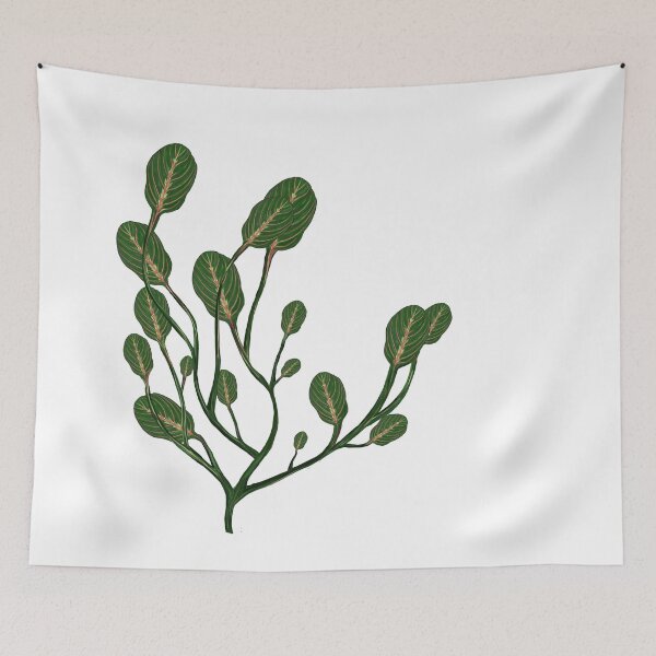 Item preview, Maranta designed and sold by Taidundua.