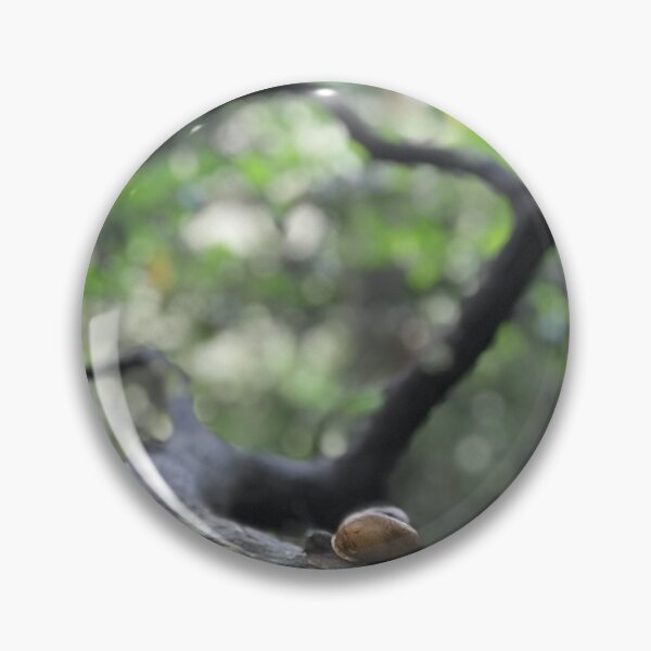 Item preview, Snail on a limb designed and sold by TheDawnOwl.