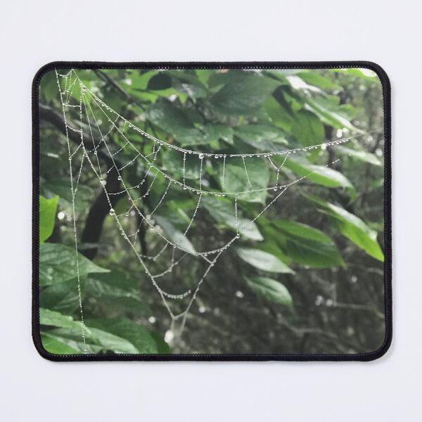 Item preview, Dewy Spiderweb designed and sold by TheDawnOwl.