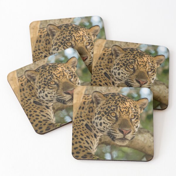 Item preview, Jaguars in Brazil designed and sold by kjewikarn.
