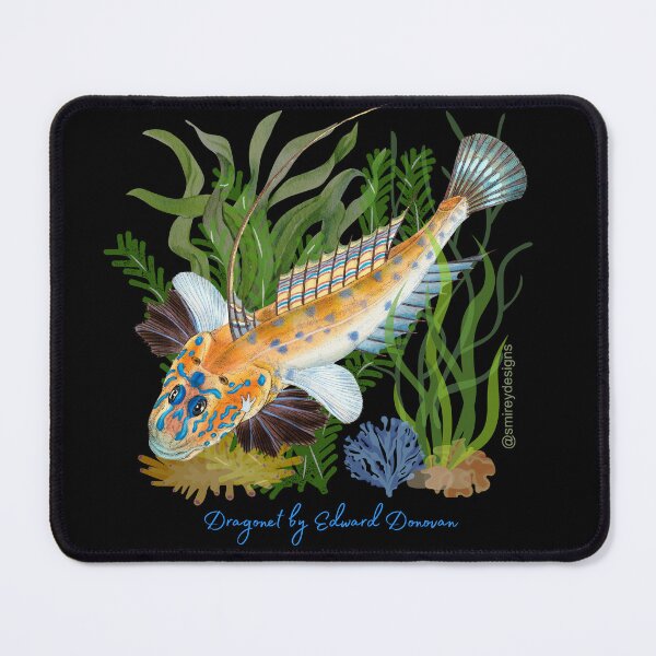 Item preview, Dragonet by Edward Donovan designed and sold by smirey designs.