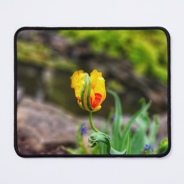 Item preview, The Yellow Flower designed and sold by Justnewyork4ever store.