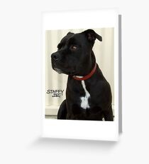 Staffy Dog Greeting Card