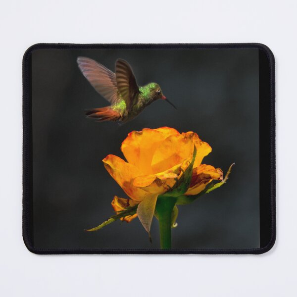 Item preview, Hovering Over A Tea Rose designed and sold by alabca.