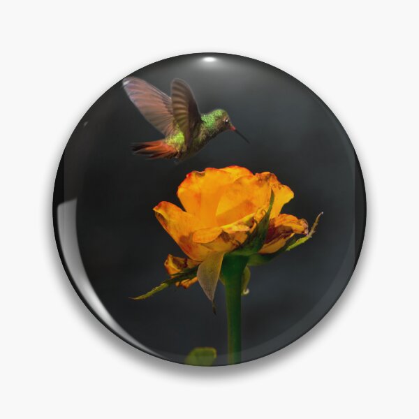 Item preview, Hovering Over A Tea Rose designed and sold by alabca.