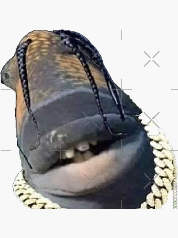 Travis Scott Fish