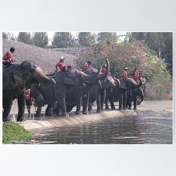 Item preview, Thai Elephants Entertain. designed and sold by Bev Pascoe.
