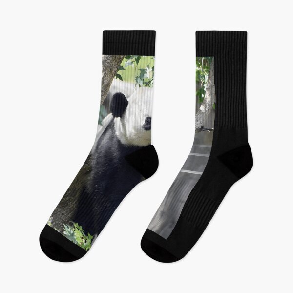 Item preview, Giant Panda Bei Bei at the National Zoo  	 designed and sold by skiytbjx58.