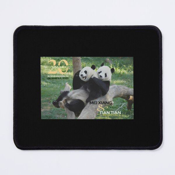 Item preview, Giant Pandas Mei Xiang and Tian Tian at the National Zoo - 20th Anniversary Edition  	 designed and sold by skiytbjx58.