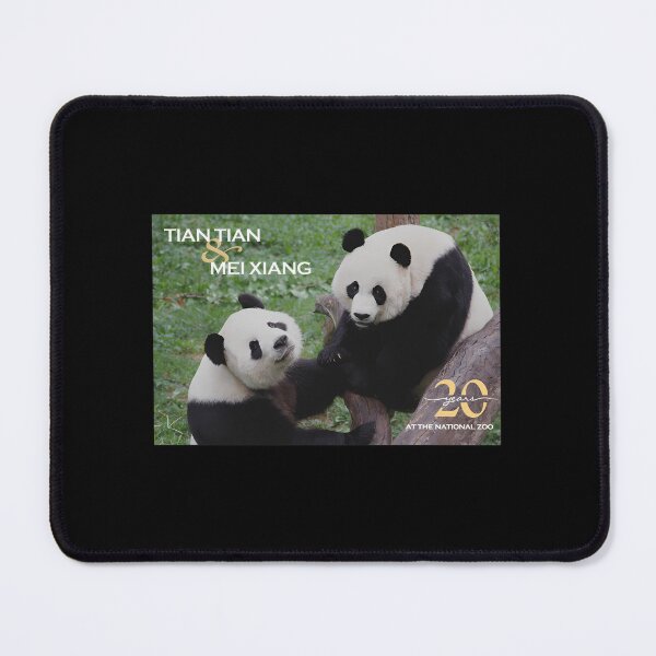 Item preview, Giant Pandas Tian Tian and Mei Xiang at the National Zoo - 20th Anniversary Edition  	 designed and sold by skiytbjx58.
