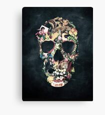 Vintage Skull Canvas Print