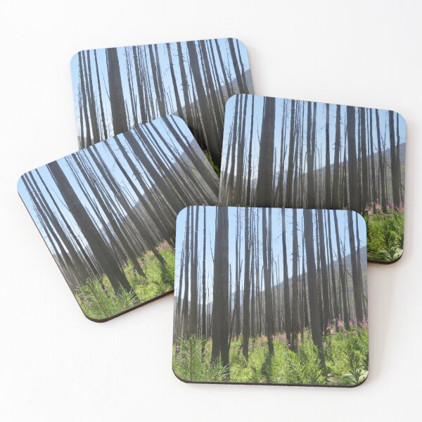Item preview, Waterton Regrowth designed and sold by sarfcov.