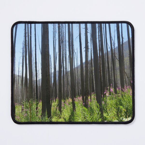 Item preview, Waterton Regrowth designed and sold by sarfcov.