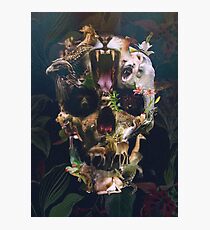 Kingdom Photographic Print