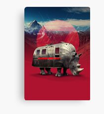 Rhino Canvas Print