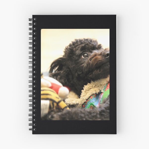 Item preview, Black Toy Poodle Cute Throw Pillow 	 designed and sold by giszrltmde46.