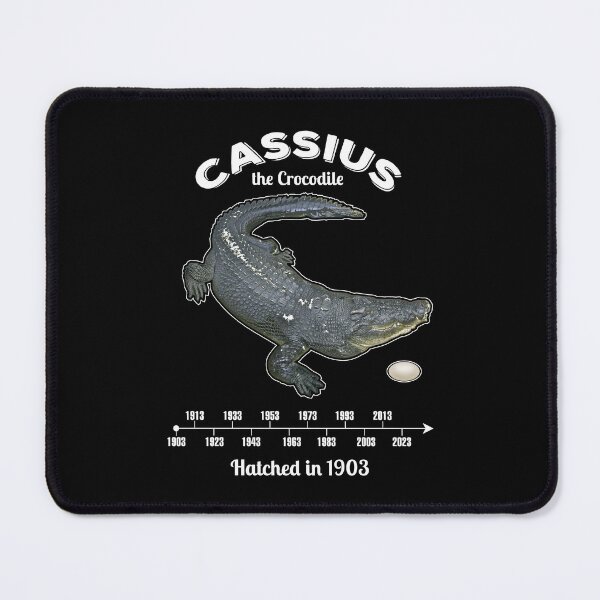 Item preview, Cassius the Crocodile Timeline  designed and sold by twHistory.